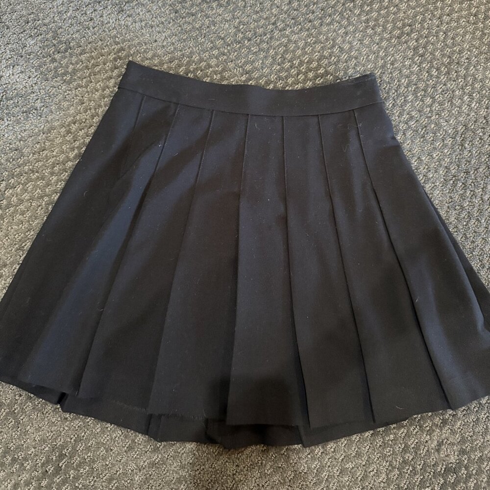 Aritzia Sunday best Pleated Mini Skirt